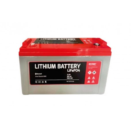 BATTERIA LIFEPO4 12V 100AH