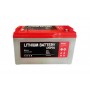 BATTERIA LIFEPO4 12V 100AH